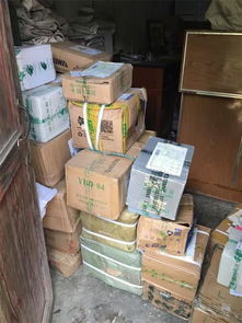 張金寶攜金財咨詢踐行社會責任，共筑鄉(xiāng)村教育未來——記“鄉(xiāng)村學校圖書室手拉手行動”